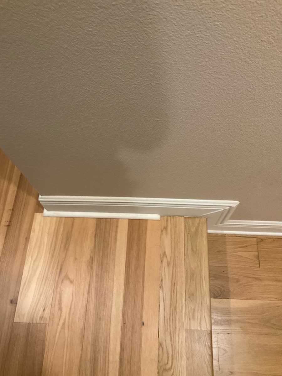 hardwood floor boards meeting baseboard at wall corner
